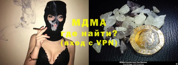 индика Медвежьегорск
