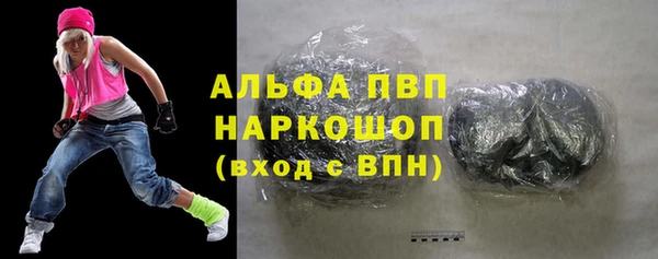 индика Михайловск