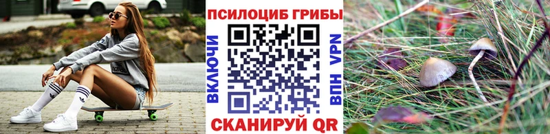 купить закладку  Сосенский  Псилоцибиновые грибы Cubensis 